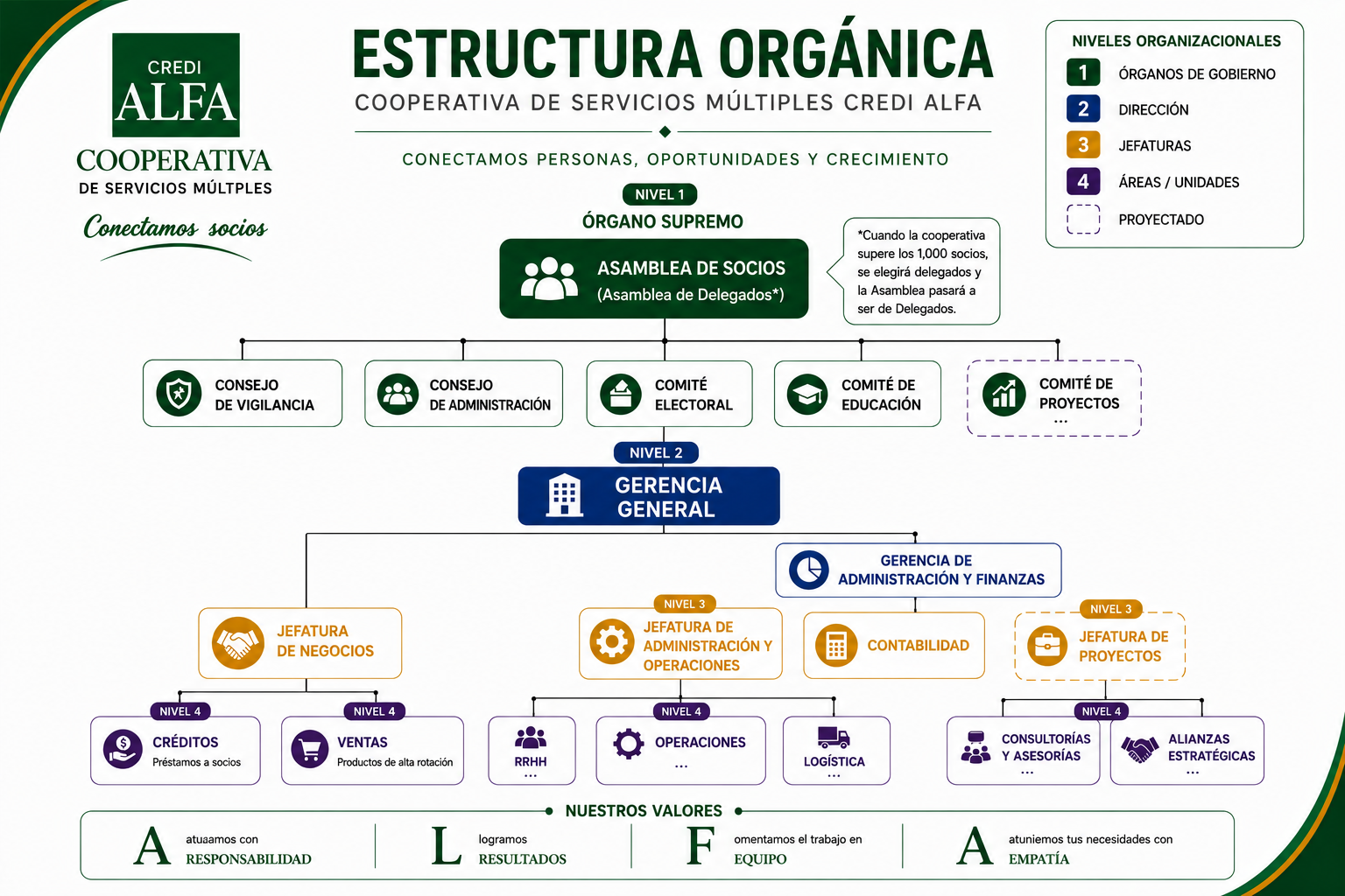 Estructura orgánica Credi Alfa
